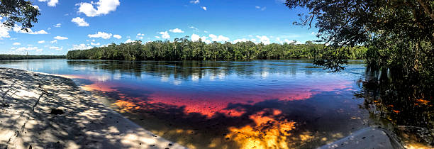 pasimoni のパノラマに広がる川、ニューポート、ベネズエラ - amazonas state 写真 ストックフォトと画像