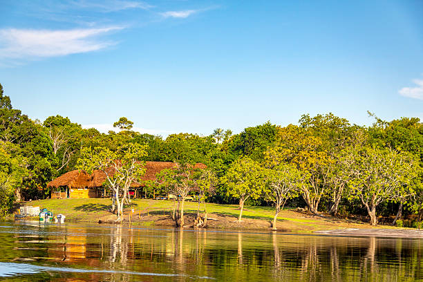 istock Indigenous houses Pasimoni river, Rio Negro, Venezuela 486032756