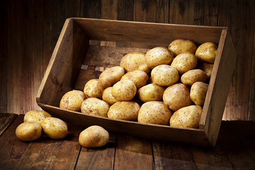 A wooden crate is filled with fresh organic potatoes sitting on rustic wood table. The crate is tilted and some potatoes are out of it. Predominant color is brown and yellow. Low key DSRL studio photo taken with Canon EOS 5D Mk II and Canon EF 24-105mm f/4L IS USM Lens