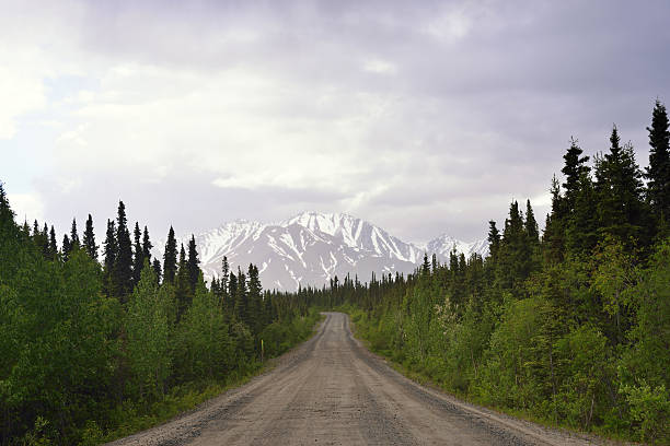 istock Unpaved Road of Denali Highway 486033202