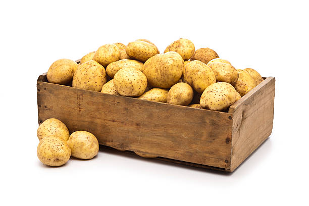 сырой картофель в деревянный crate изолированные на белом фоне - raw potato isolated vegetable white стоковые фото и изображения