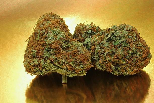 Pink Tahoe OG on a gold background closeup