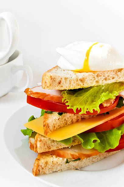 Tasty meat sandwich with vegetables