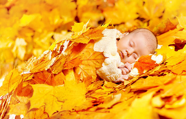 bebê recém-nascido dormir de outono, folhas de outono amarelo crianças, nova nascido - child autumn nature human face - fotografias e filmes do acervo