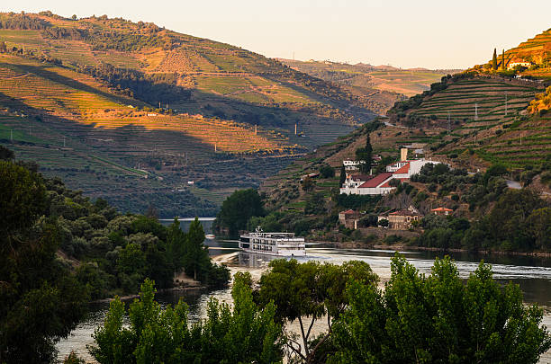 istock river Douro valley, Portugal 486050518