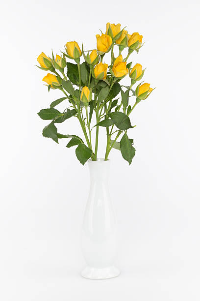 istock bouquet of yellow roses 486050751