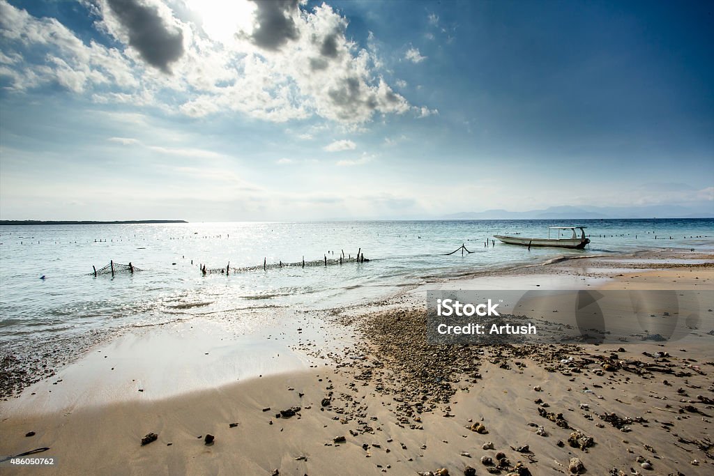 Plantações de algas marinhas na praia, algas, na maré baixa - Foto de stock de 2015 royalty-free