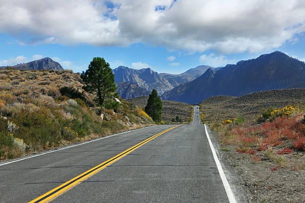 istock Great  road goes through the desert 486051245