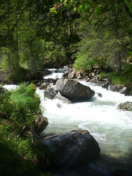 istock River in European Alps 486051739