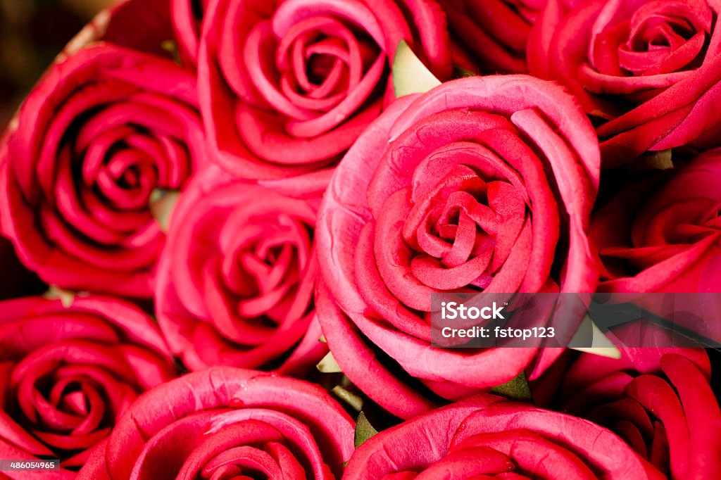 Lindo buquê de rosas cor-de-rosa. - Foto de stock de Amor royalty-free