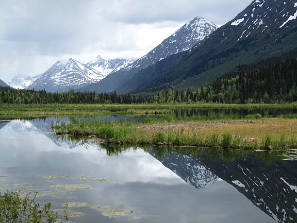 istock Kenai Fjords National Park 486055697