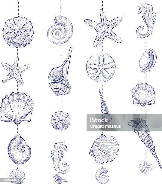 Shell Stock Illustration - Download Image Now - Seashell, Starfish, Seamless Pattern