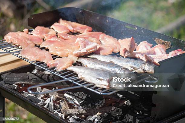Barbecue - Fotografie stock e altre immagini di Alla griglia - Alla griglia, Ambientazione esterna, Arrosto - Cibo cotto