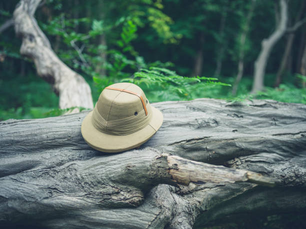 istock Safari hat on fallen tree in the forest 486058348