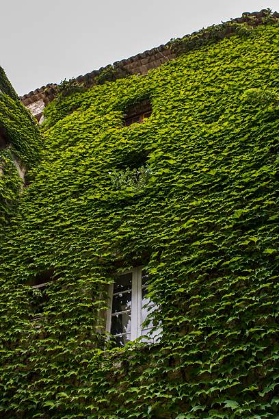 istock St Paul de Vence , France 486060162