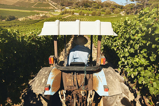 istock Farmer driving a tractor in the vineyard 486063086
