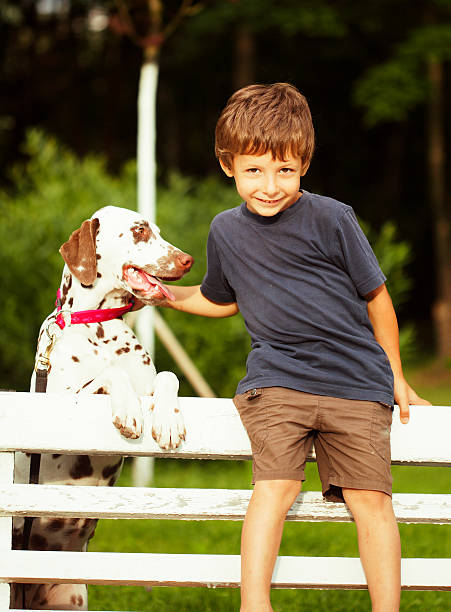 istock little cute boy with dalmatian dog 486066638