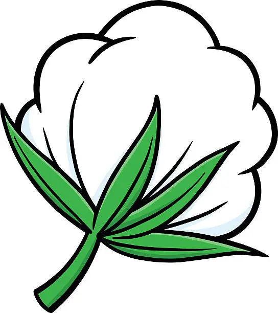 Vector illustration of Cotton