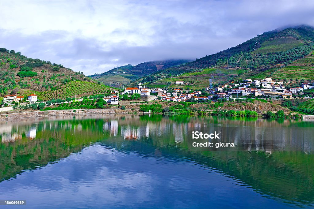 River Douro Vineyards in the Valley of the River Douro, Portugal Agricultural Field Stock Photo