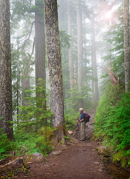 istock Hiking the Heliotrope Ridge Trail 486072333