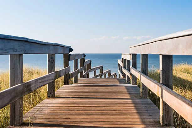 istock Wooden footpath through dunes. North Sea beach in Germany. 486072949