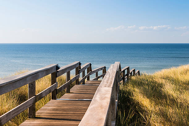 Wooden footpath through dune. North sea beach in Germany. stock photo