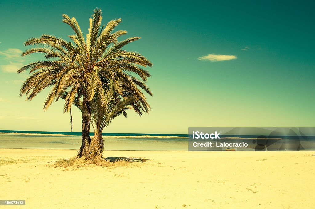 Playa. - Foto de stock de Aire libre libre de derechos