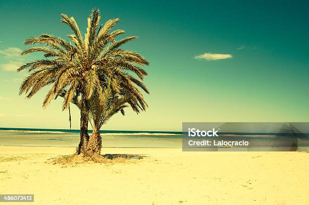 Playa Foto de stock y más banco de imágenes de Aire libre - Aire libre, Característica costera, Caribe