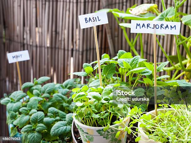 Herb Garden On A Balcony Stock Photo - Download Image Now - Herb Garden, Herb, Herbal Medicine