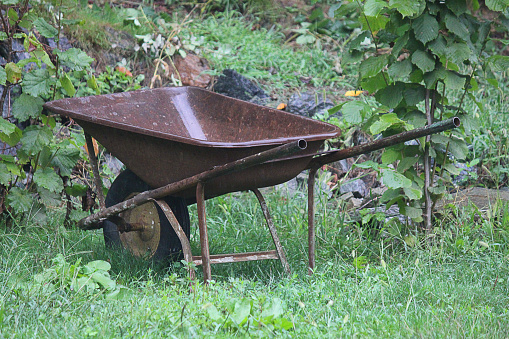 a wheelbarrow under the rain