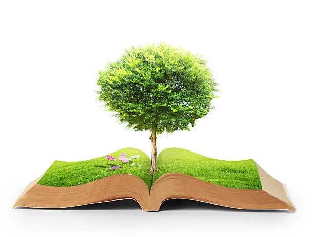 istock book of nature with grass and tree 486076633