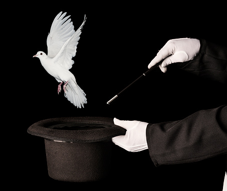 White dove flying out from magician top hat