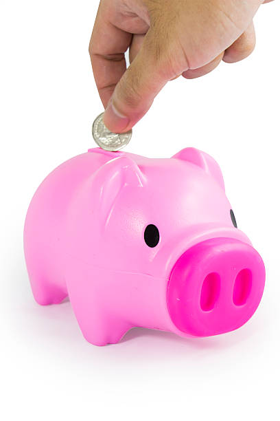 istock Coin into piggy pink pig on white background 486089838