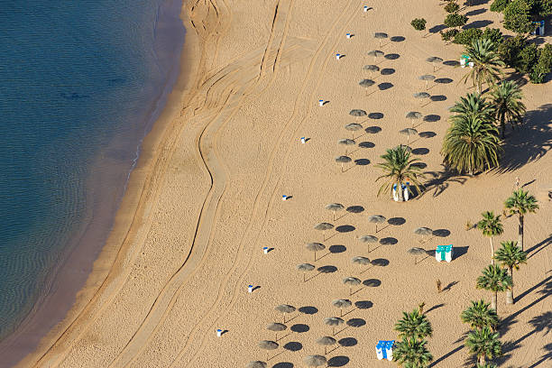 istock Las Teresitas beach, Tenerife. 486091130