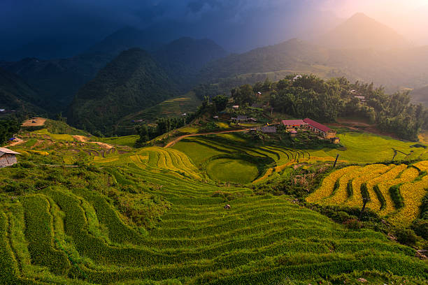 istock Beautiful Rice Terrace in Sapa, Vietnam 486091401
