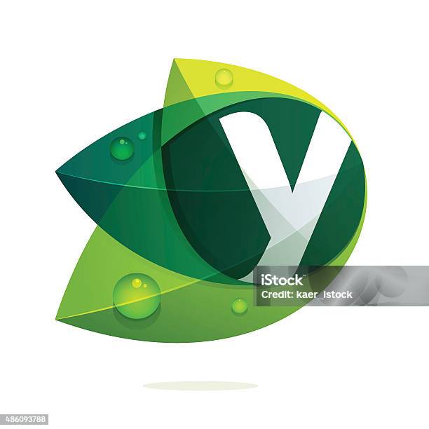 Y Letter With Green Leaves And Dew Drops Stock Illustration - Download Image Now - Leaf, Green Color, Leaving