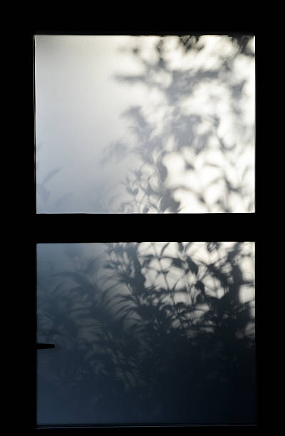 istock Behind the door-Entry in nature-Background 486093878