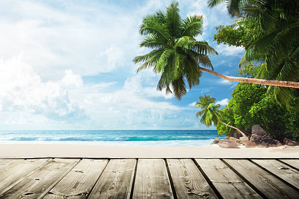 istock beach and wooden pier 486093974
