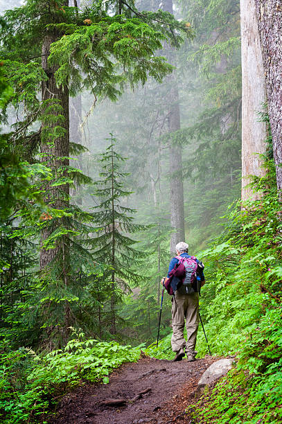 Hiking the Heliotrope Ridge Trail