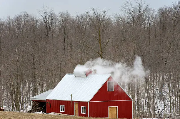 Photo of Sugar Shack