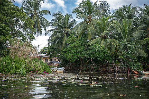 istock Small village in the Jungle near the river. 486101982