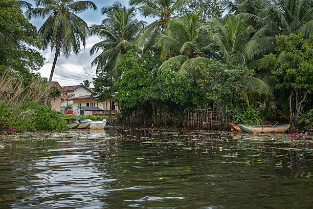 istock Small village in the Jungle near the river. 486102006