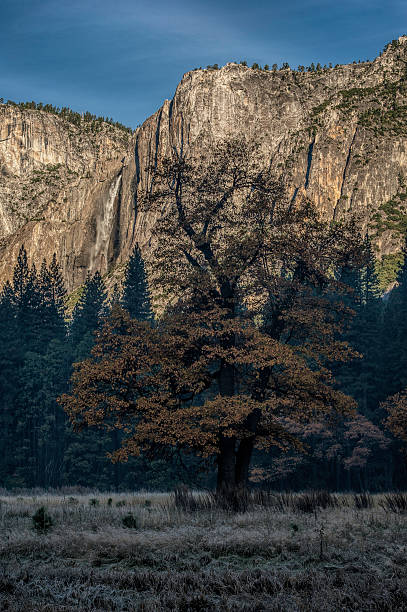 istock Yosemite National Park Autumn View 486104837