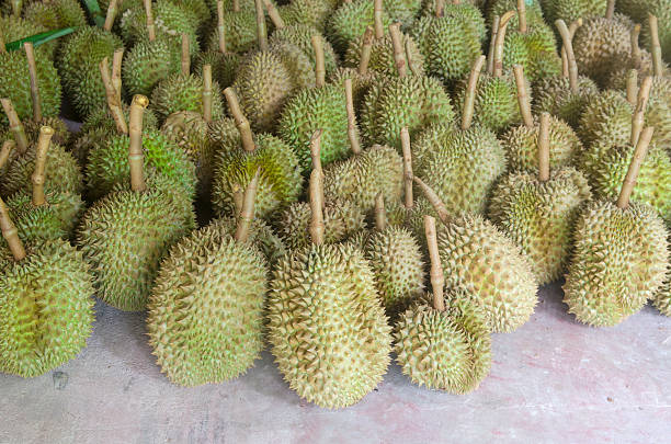 istock Dump Durian from Thailand is Fruit with a strong smell 486104955