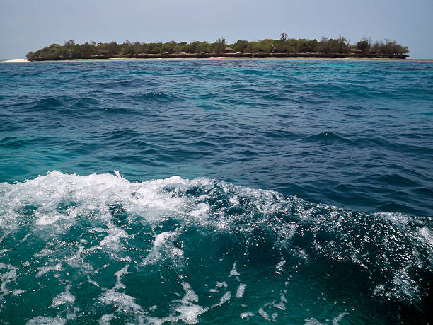 istock View from a boat, Zanzibar Archipelago, Tanzania 486105223