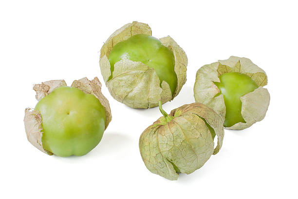 Tomatillos Four tomatillos isolated on white background tomatillo photos stock pictures, royalty-free photos & images