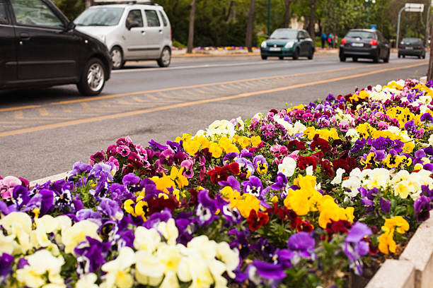 istock Flowers by the road 486109100