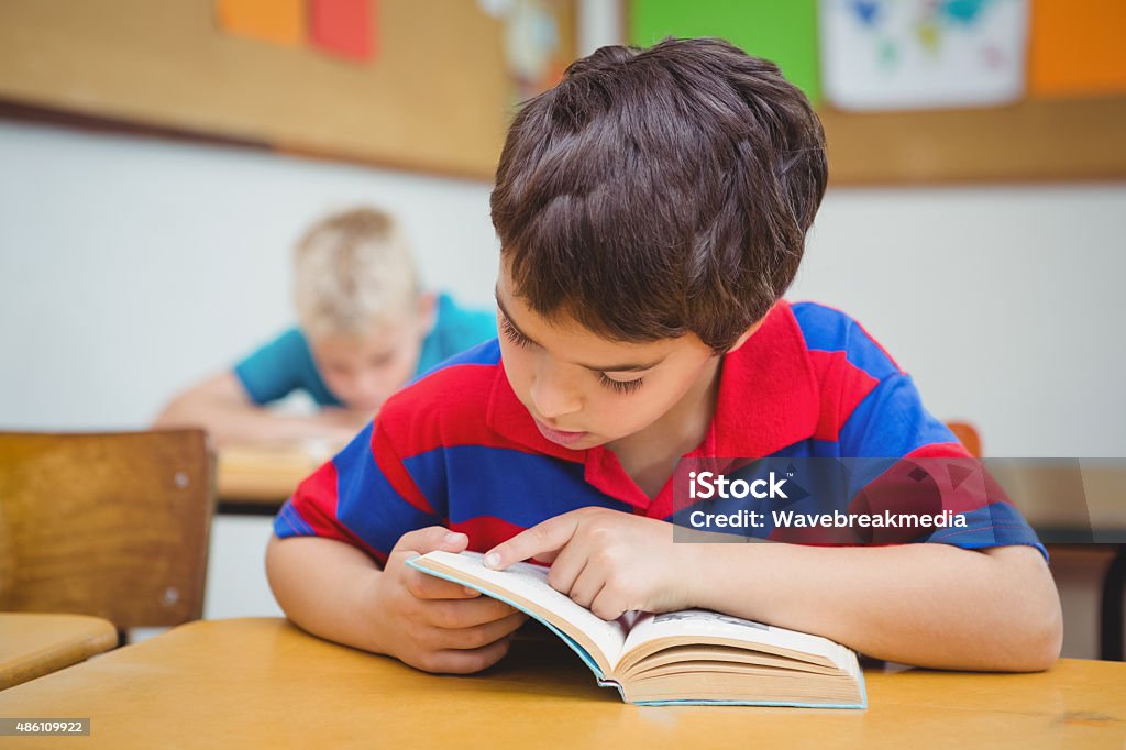 Pupil reading a school book Pupil reading a school book at the elementary school 2015 Stock Photo