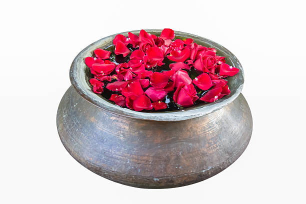 red rose petals in jar isolated