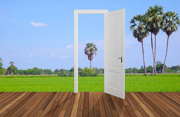 istock Landscape behind the opening door,3D 486110543